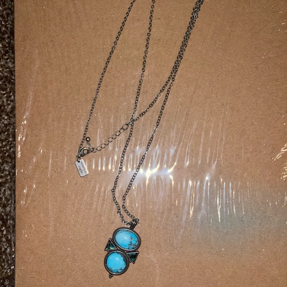 American Eagle long necklace